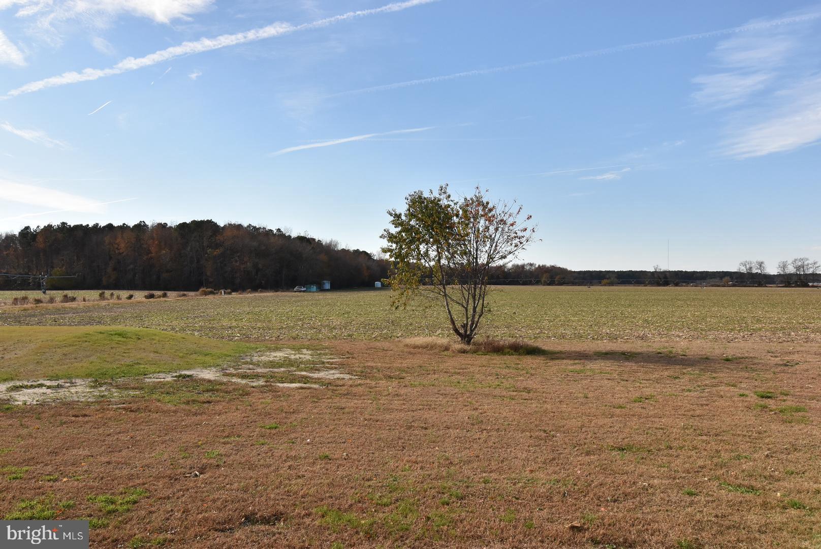 36078 Columbia Road Delmar, DE 19940 - Photo 20 of 20 a view of a ocean view