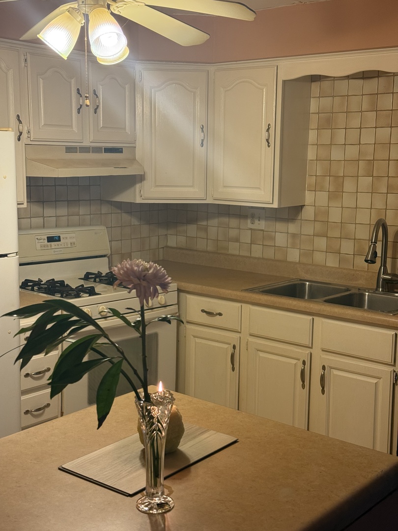 5241 North East River Road, Unit 1C Chicago, IL 60656 - Photo 3 of 12