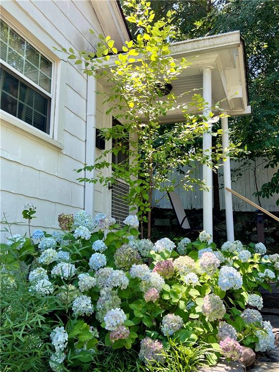 5 Vineland Drive Northwest Rome, GA 30165 - Photo 50 of 54 a plant that is in front of a house