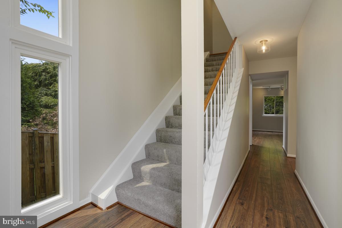 1530 Goldenrain Court Reston, VA 20190 - Photo 4 of 50 New carpet & flooring