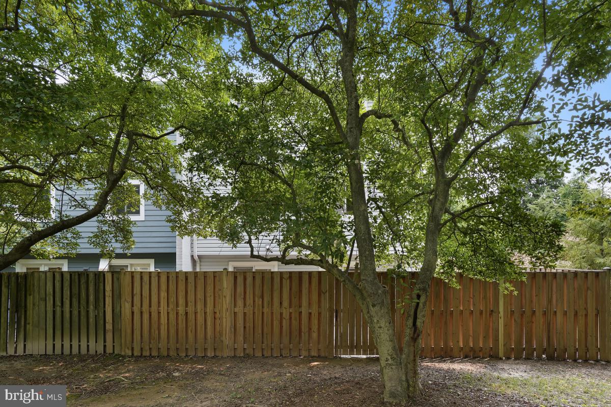 1530 Goldenrain Court Reston, VA 20190 - Photo 48 of 50 Gallery Image 48