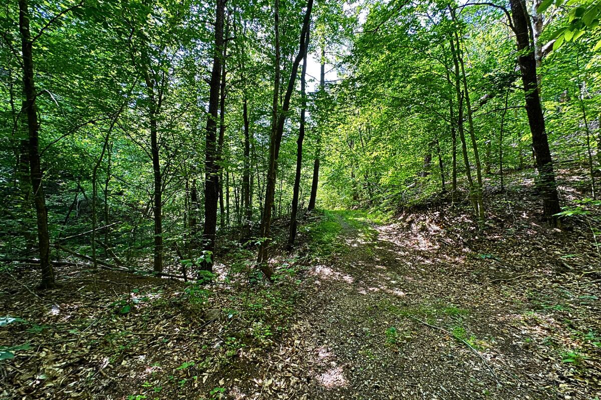 3994 Yates Road Shawsville, VA 24162 - Photo 23 of 40 land for sale in shawsville va 3