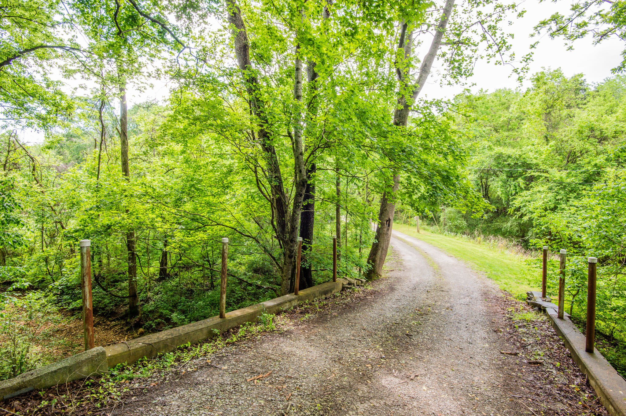 706 Dry Hollow Road Dickson, TN 37055 - Photo 3 of 50 Gallery Image 3