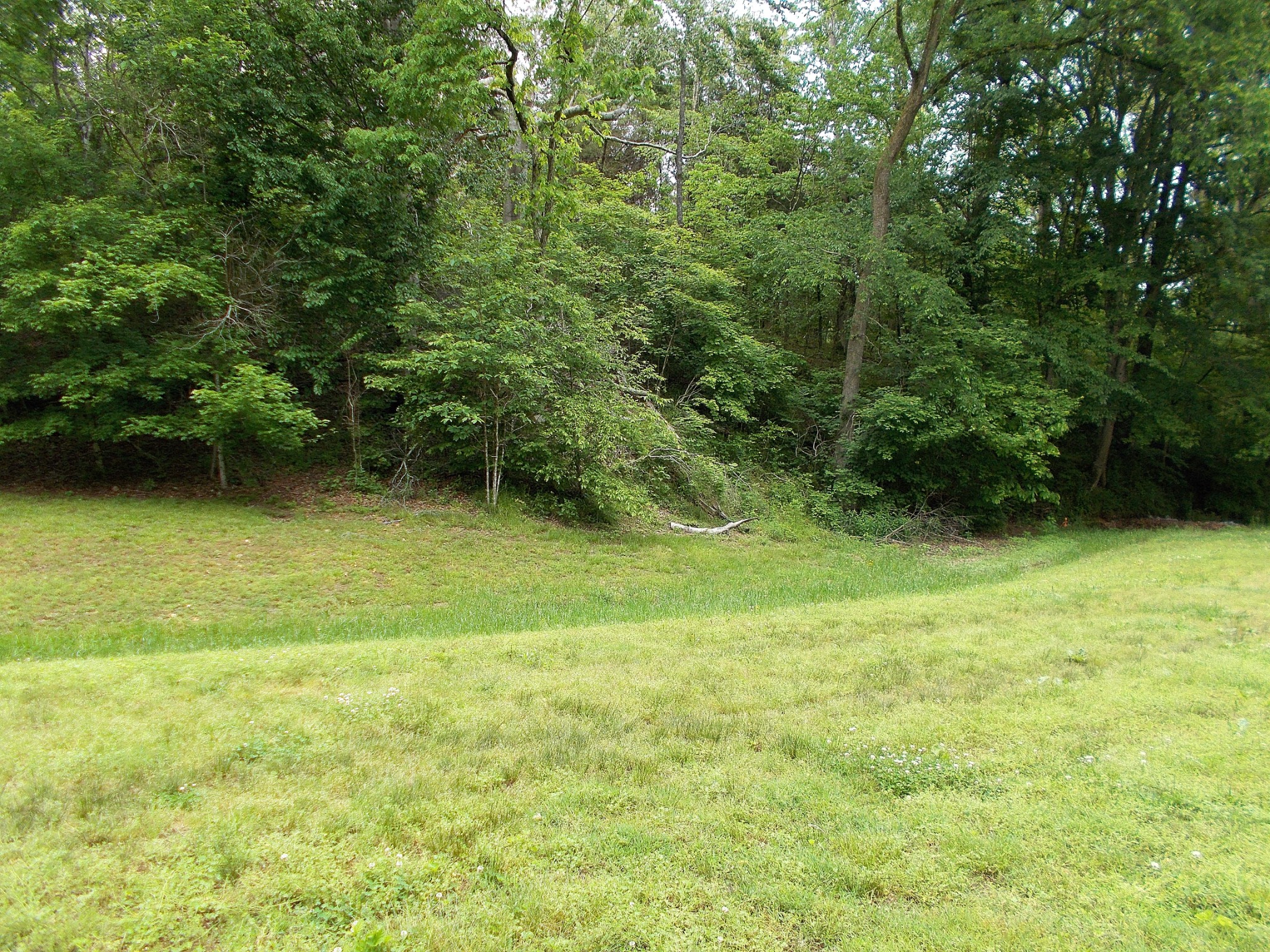 706 Dry Hollow Road Dickson, TN 37055 - Photo 42 of 50 Gallery Image 42