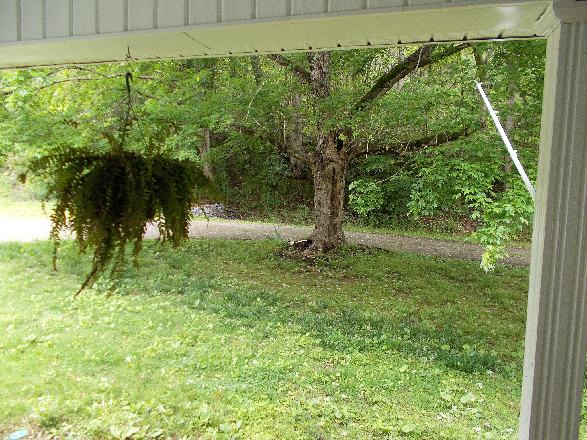 706 Dry Hollow Road Dickson, TN 37055 - Photo 50 of 50 Gallery Image 50