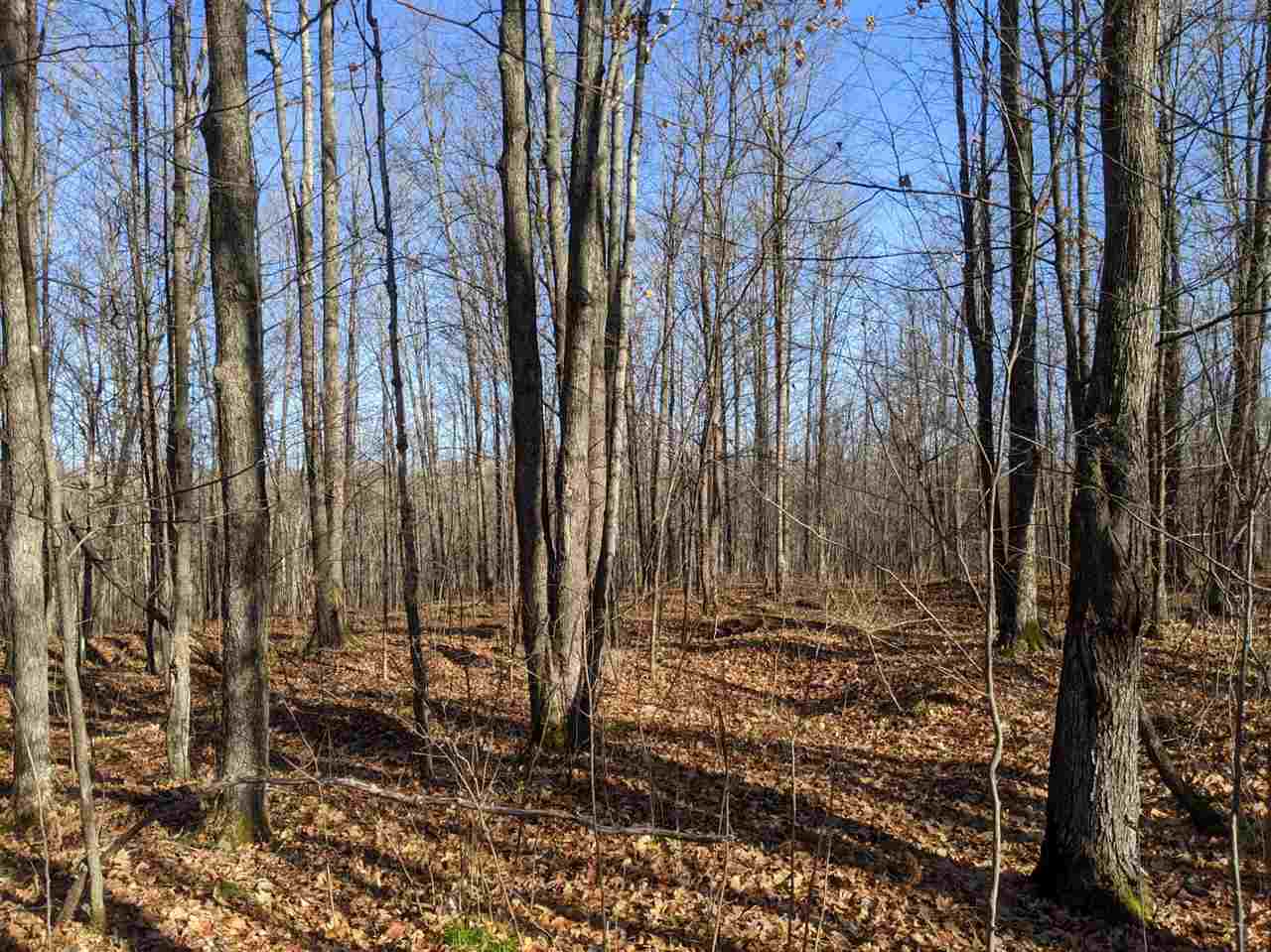 1672 West Old County Road Sheldon, WI 54766 - Photo 1 of 1