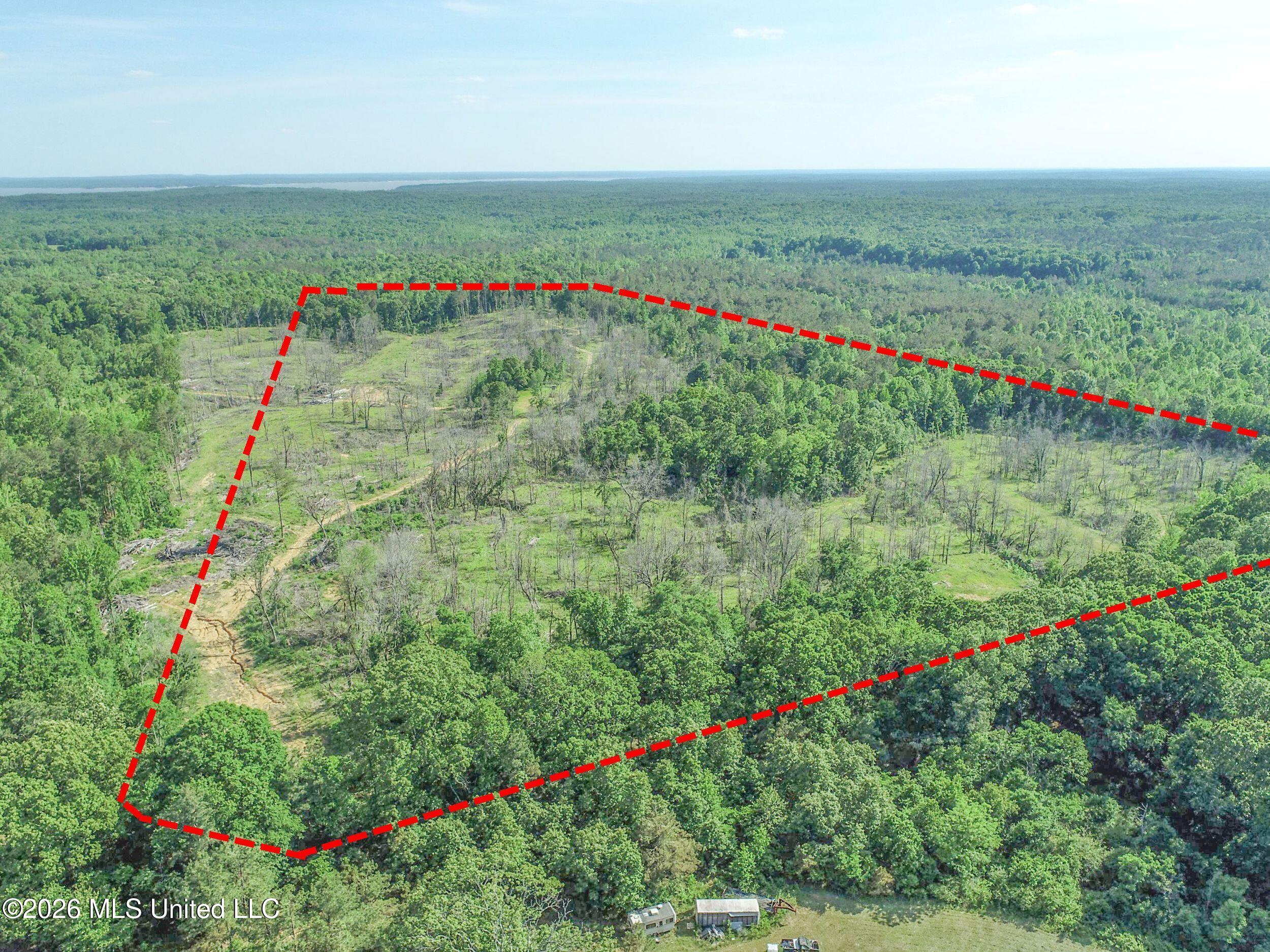 Wayne Massie Road Como, MS 38619 - Photo 21 of 184 3ctwmrd5b