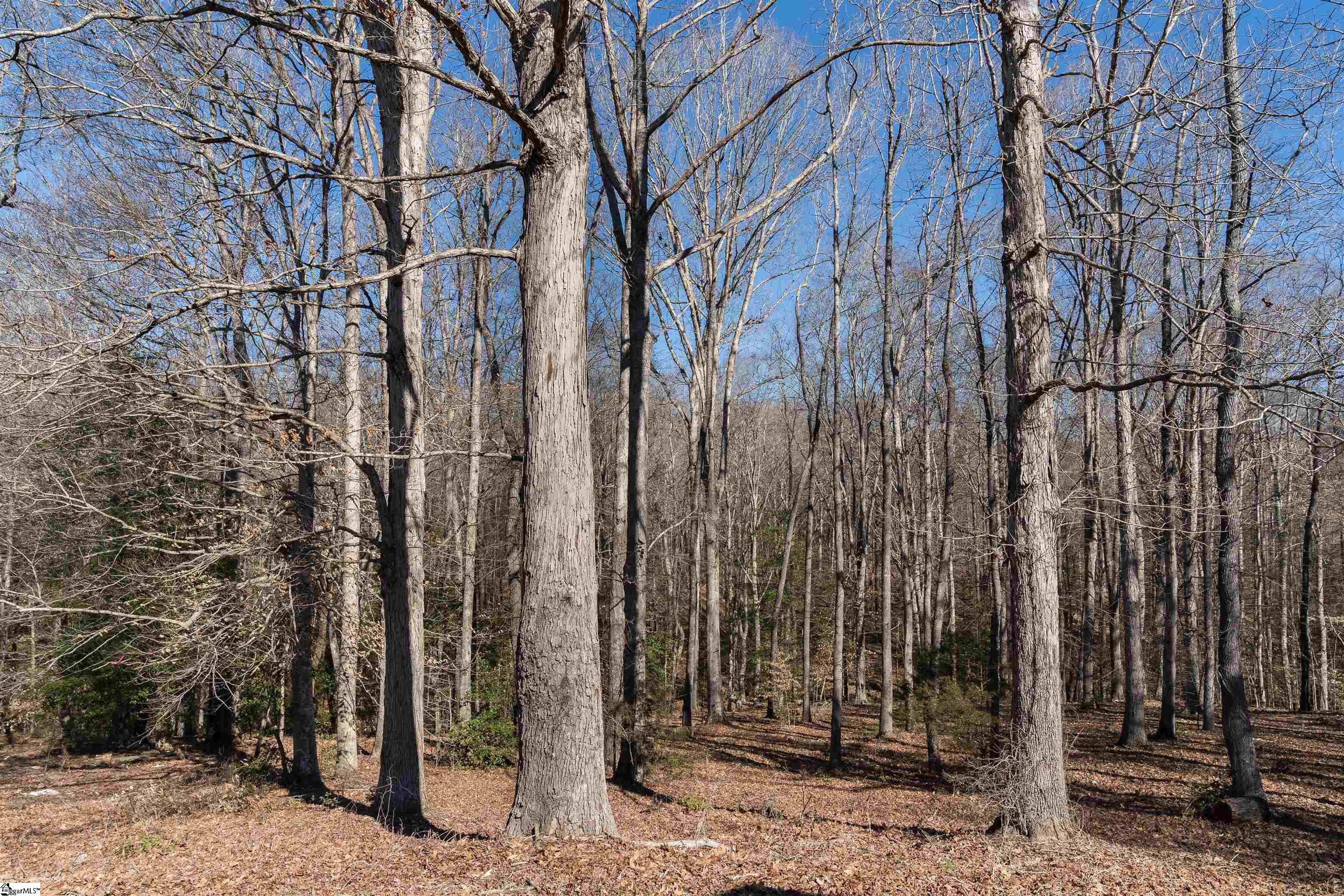 618 Pearson Town Road Moore, SC 29369 - Photo 29 of 29 Gallery Image 29