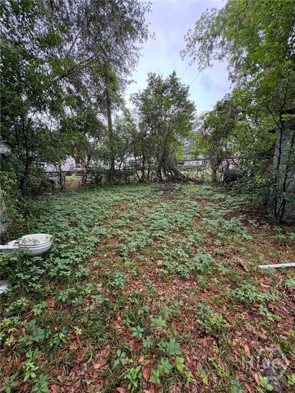132 Porterfield Road Ellabell, GA 31308 - Photo 3 of 26 Gallery Image 3