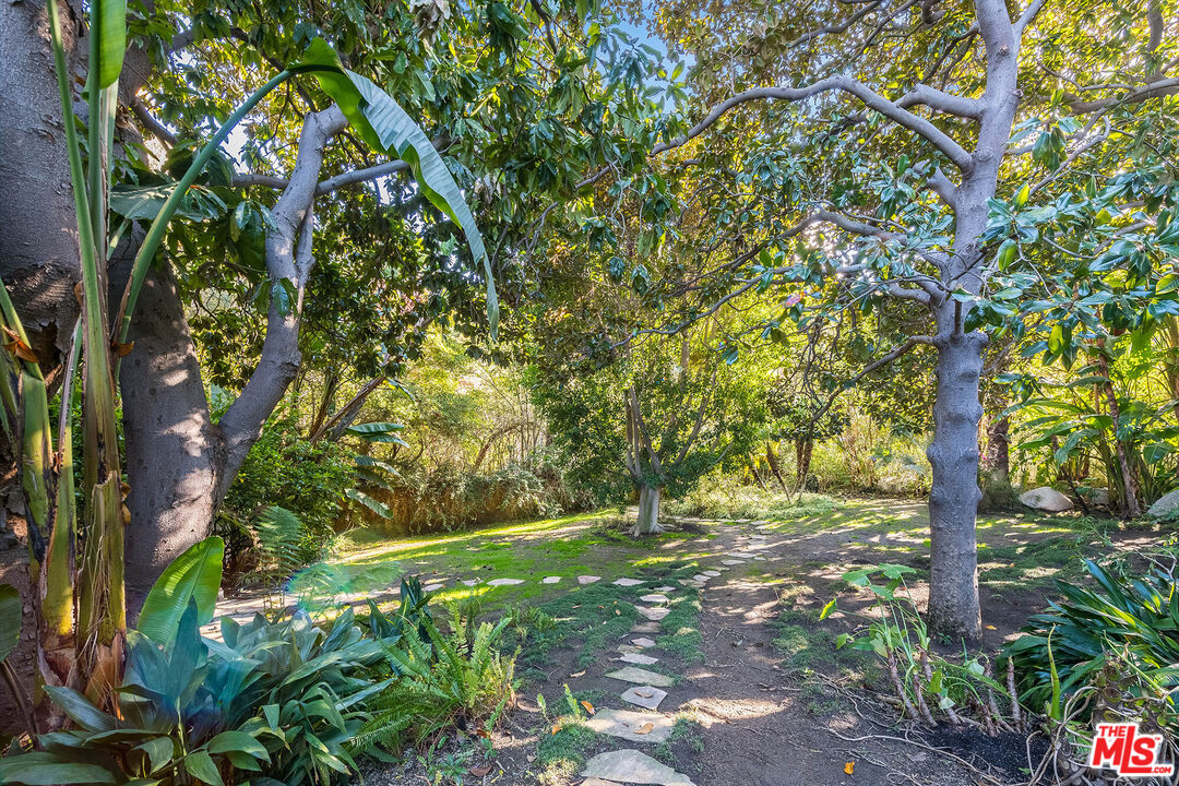 12309 Viewcrest Road Studio City, CA 91604 - Photo 47 of 52 a view of a yard with plants and a tree