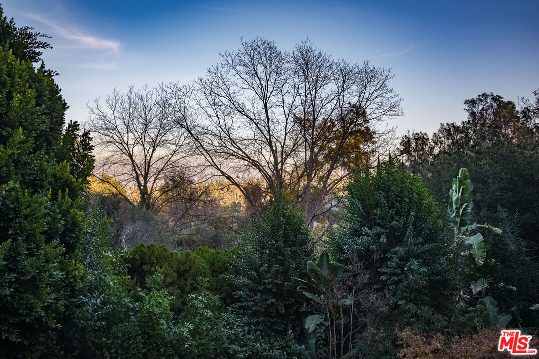 12309 Viewcrest Road Studio City, CA 91604 - Photo 50 of 52 a backyard of a house with lots of green space