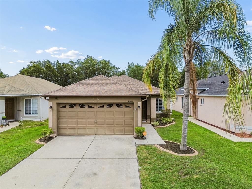 31217 Tagus Loop Wesley Chapel, FL 33545 - Photo 1 of 62