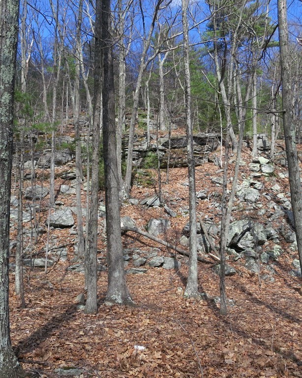 32 Sumner Mountain Road Shutesbury, MA 01072 - Photo 3 of 7 Gallery Image 3