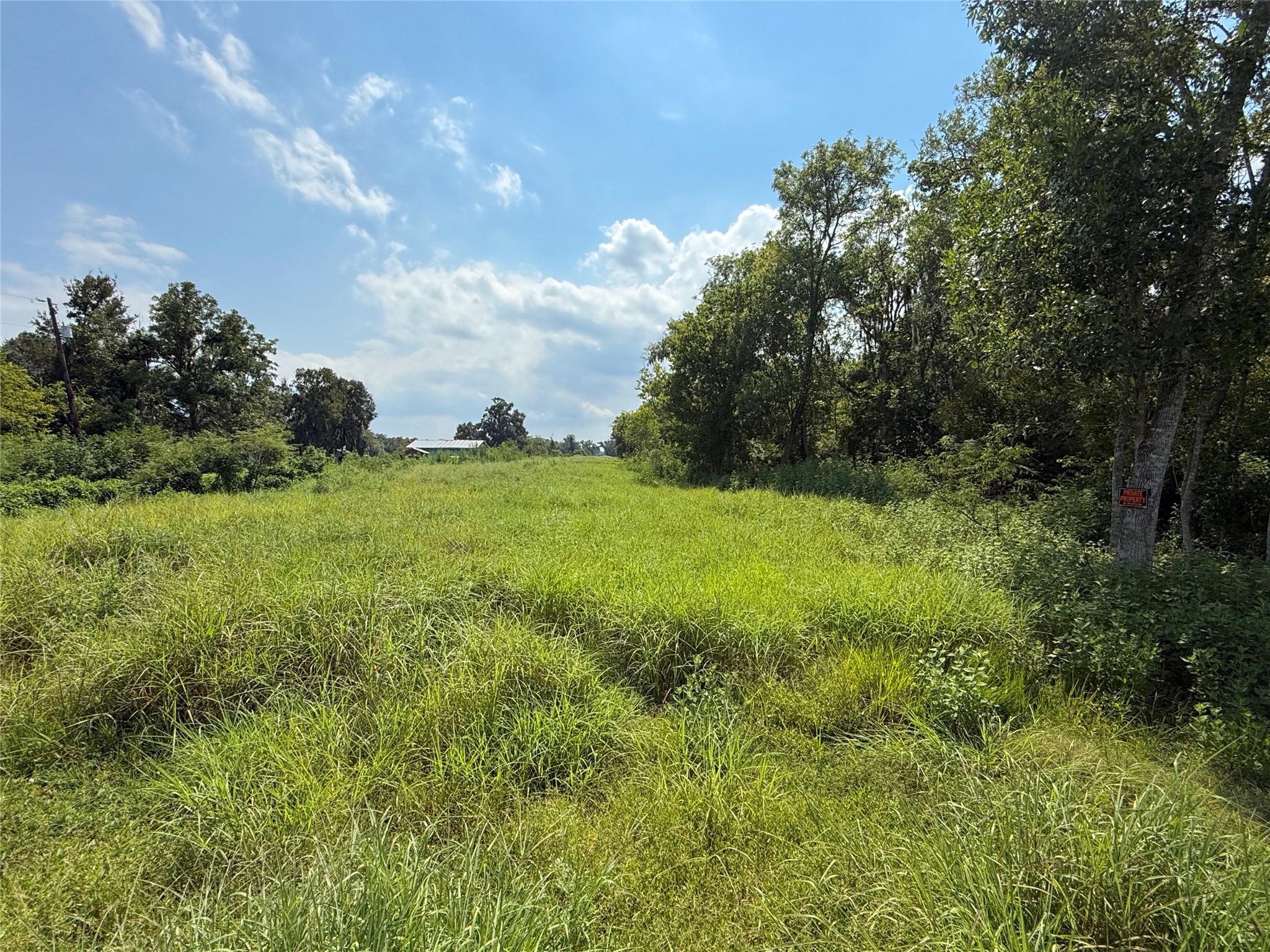 5401-1 County Road 334 Sweeny, TX 77480 - Photo 8 of 8