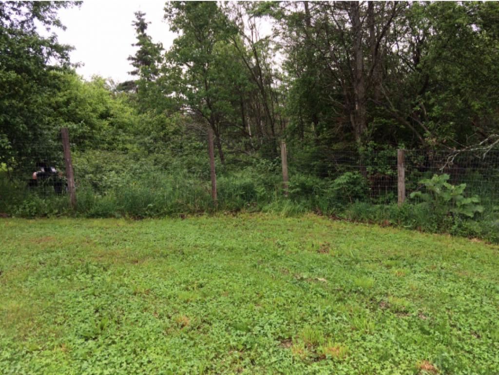 1186 Cahoon Farm Road Walden, VT 05873 - Photo 16 of 24 Gallery Image 16
