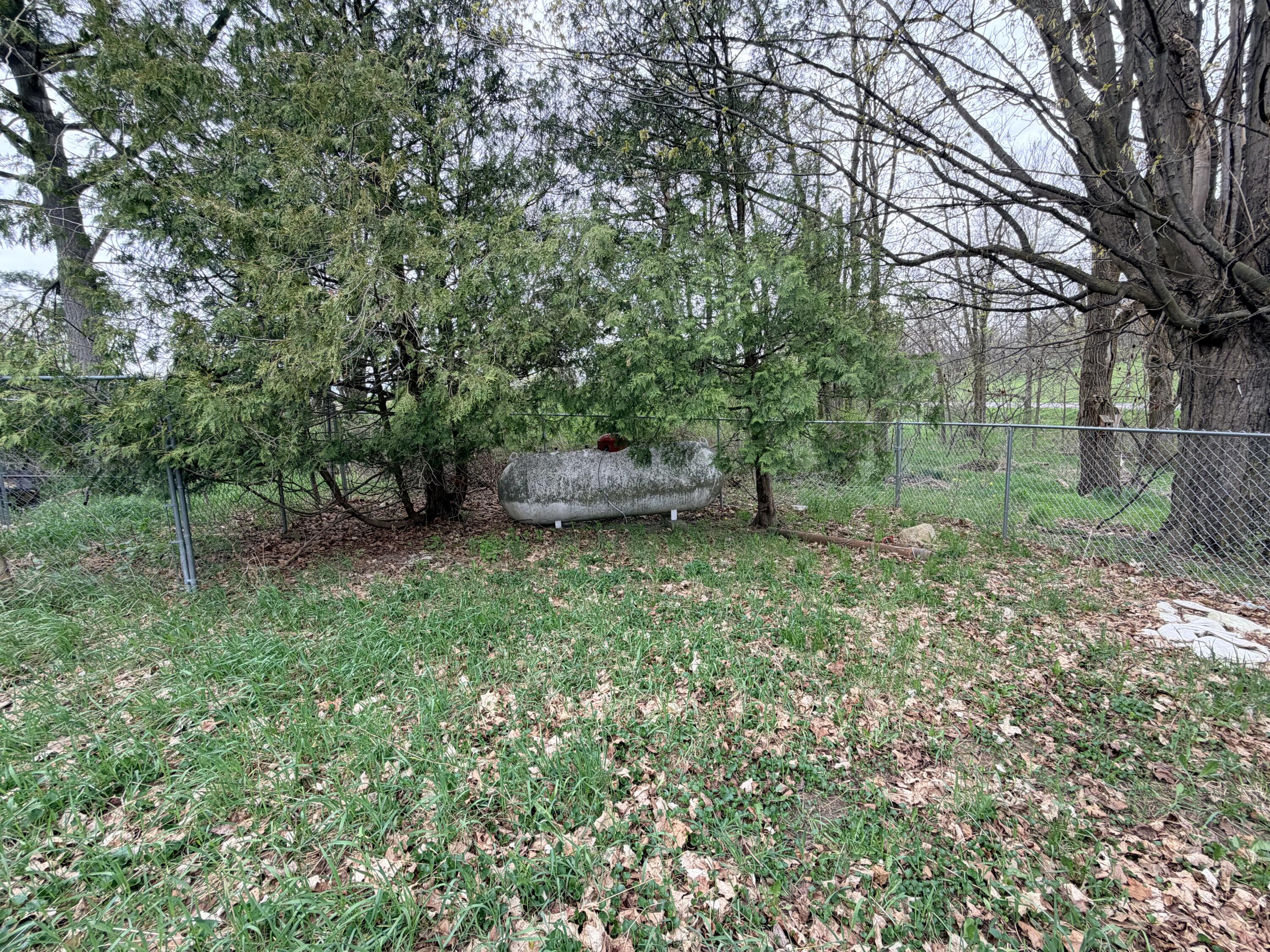1734 East Wilson Road Custer, MI 49405 - Photo 8 of 24 backyard