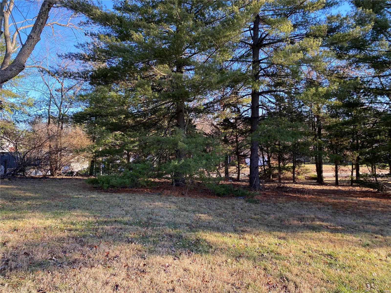 5120 Ambs Road St. Louis, MO 63128 - Photo 4 of 5 Gallery Image 4