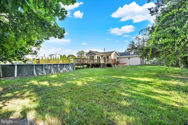 a view of a park with large trees