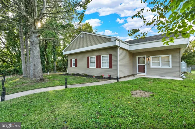 a backyard of a house with plants and large tree