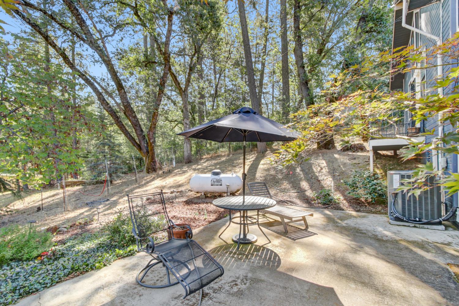 1120 Grange Road Meadow Vista, CA 95722 - Photo 37 of 48