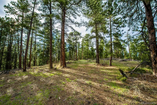 $2,400,000 | 10250 Highway 73 Conifer Co 80433, Conifer, CO 80433