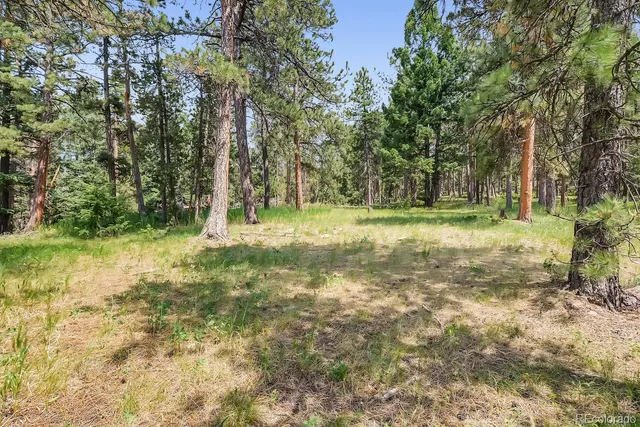 $2,400,000 | 10250 Highway 73 Conifer Co 80433, Conifer, CO 80433