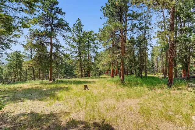 $2,400,000 | 10250 Highway 73 Conifer Co 80433, Conifer, CO 80433