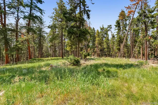 $2,400,000 | 10250 Highway 73 Conifer Co 80433, Conifer, CO 80433