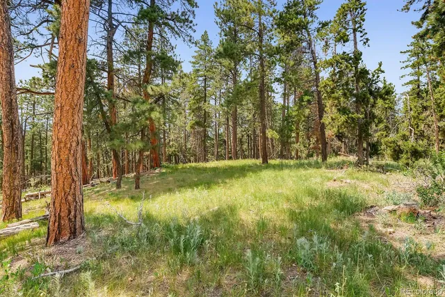 $2,400,000 | 10250 Highway 73 Conifer Co 80433, Conifer, CO 80433