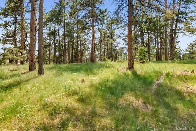 $2,400,000 | 10250 Highway 73 Conifer Co 80433, Conifer, CO 80433