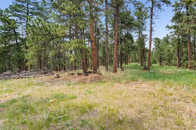 $2,400,000 | 10250 Highway 73 Conifer Co 80433, Conifer, CO 80433