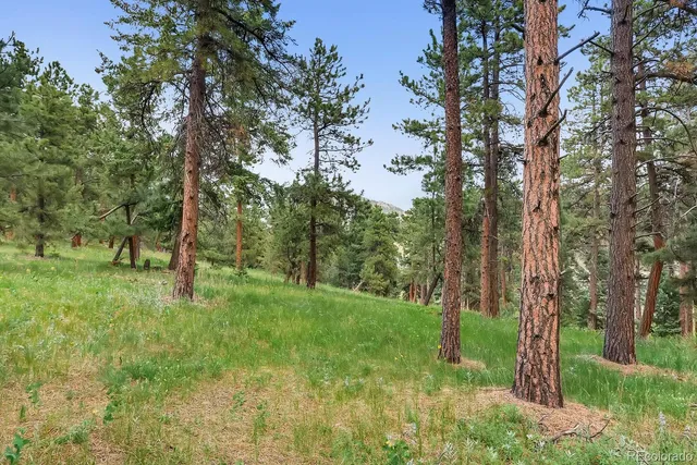 $2,400,000 | 10250 Highway 73 Conifer Co 80433, Conifer, CO 80433