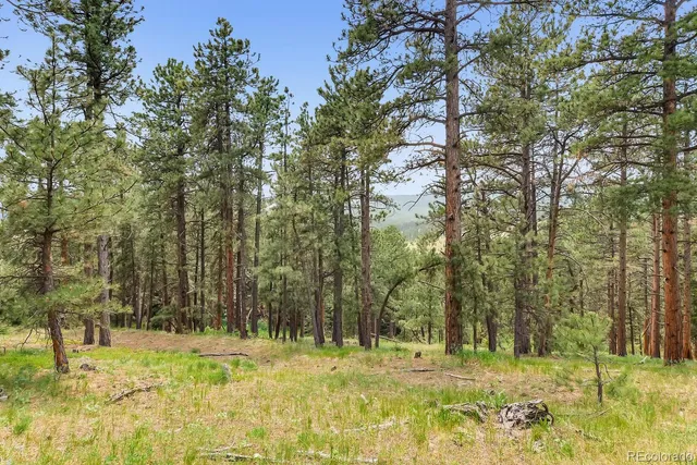 $2,400,000 | 10250 Highway 73 Conifer Co 80433, Conifer, CO 80433