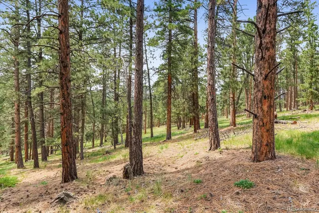$2,400,000 | 10250 Highway 73 Conifer Co 80433, Conifer, CO 80433