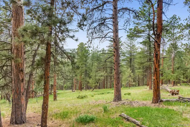 $2,400,000 | 10250 Highway 73 Conifer Co 80433, Conifer, CO 80433