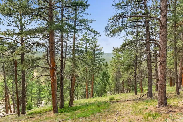 $2,400,000 | 10250 Highway 73 Conifer Co 80433, Conifer, CO 80433