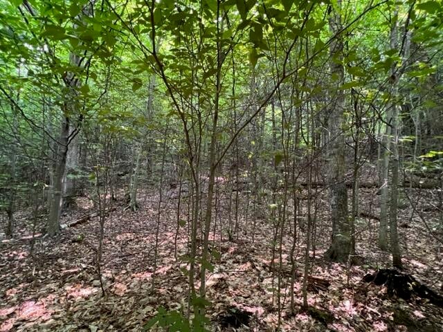 Clement Road Alanson, MI 49706 - Photo 8 of 14 Gallery Image 8
