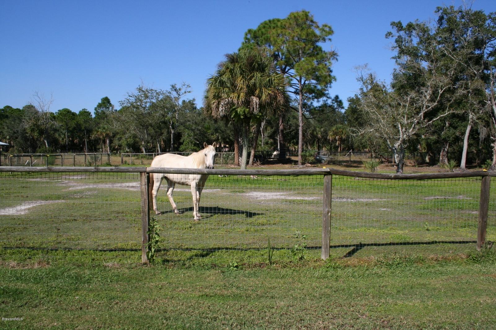 1680 Atz Road Malabar, FL 32950 - Photo 23 of 24 Horse Paddocks