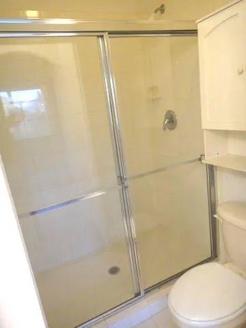 a bathroom with a shower and a toilet