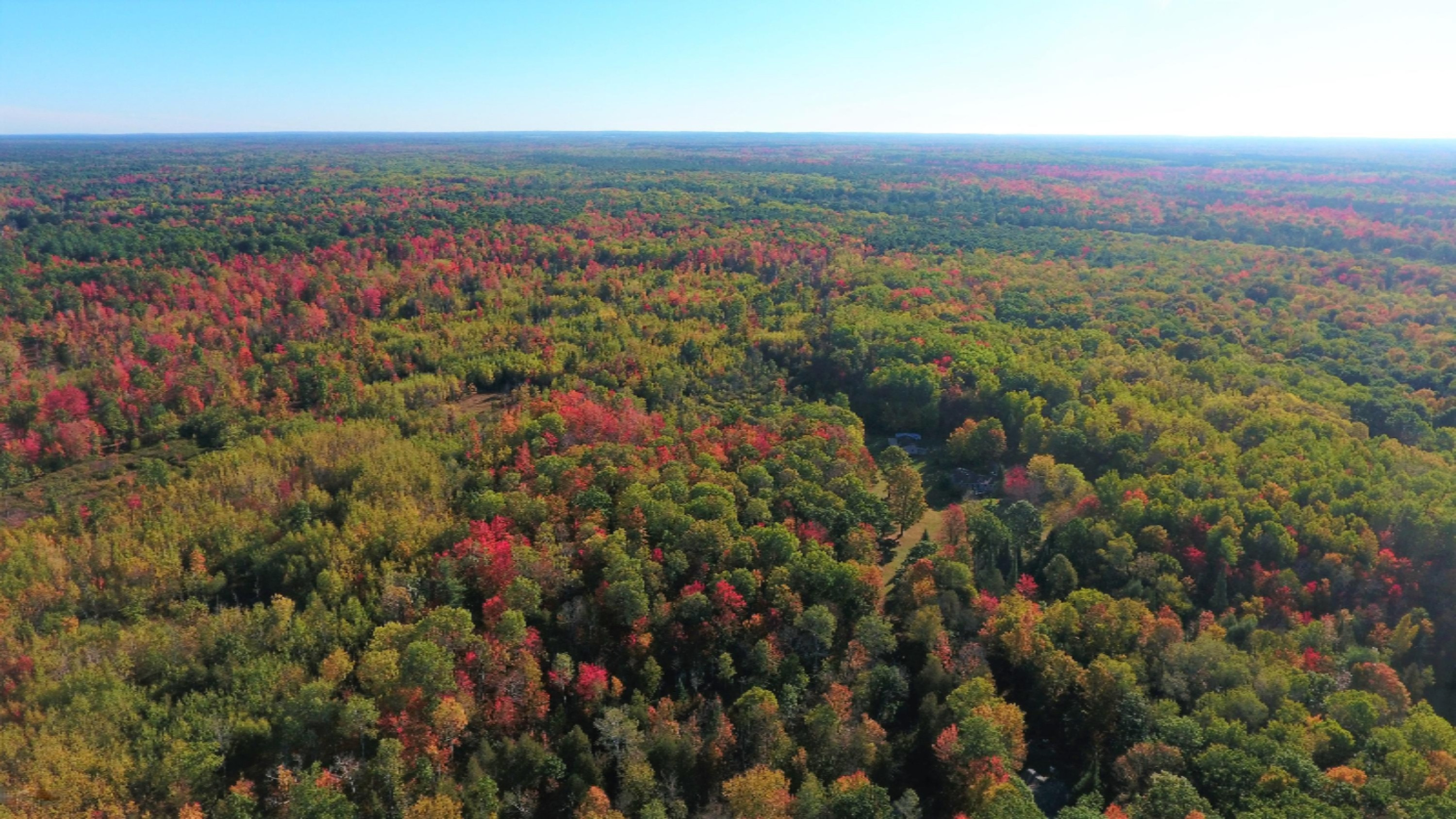 Undisclosed Address Evart, MI 49631 - Photo 2 of 43 DJI_0454
