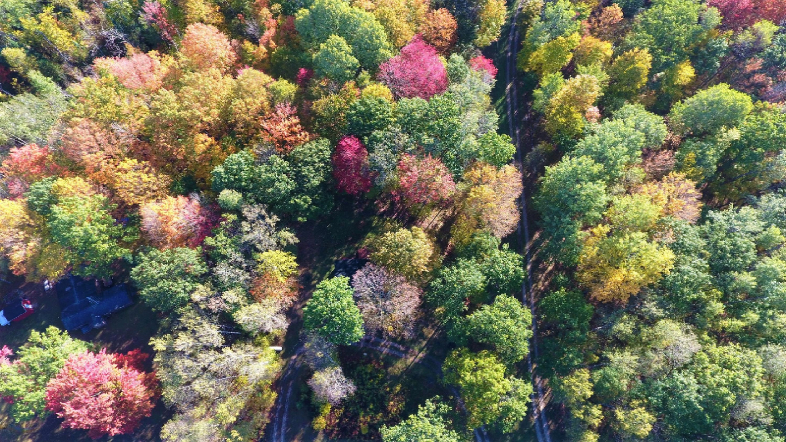 Undisclosed Address Evart, MI 49631 - Photo 10 of 43 DJI_0453
