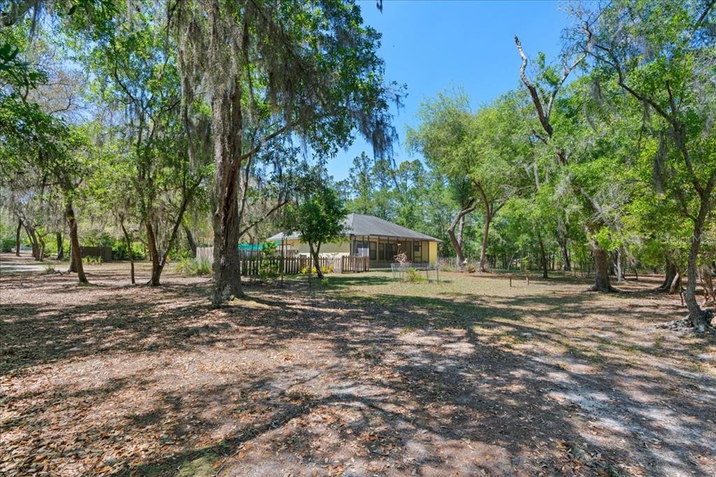 124 Mandarin Lake Road Melrose, FL 32666 - Photo 34 of 46 a view of a yard with a house in the background