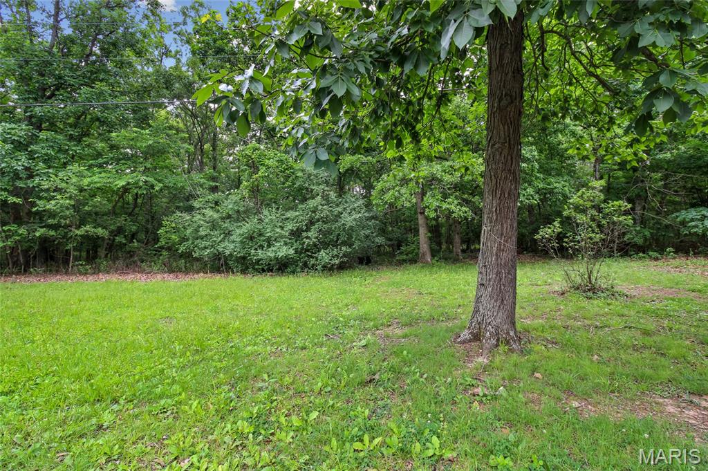 1485 Rue Riviera Bonne Terre, MO 63628 - Photo 28 of 95