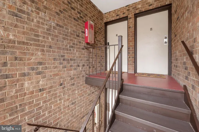 a street view with large trees