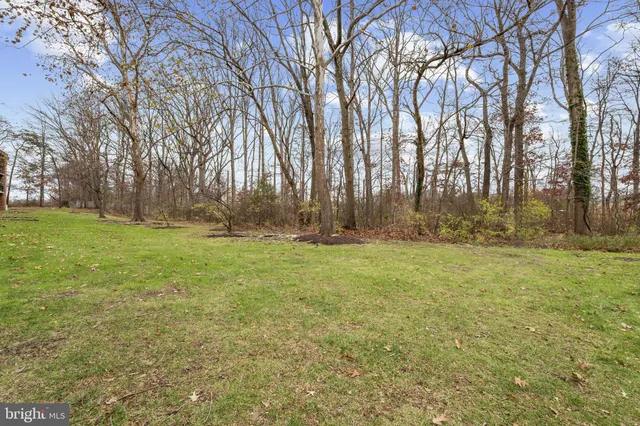 a view of an house with backyard and a tree