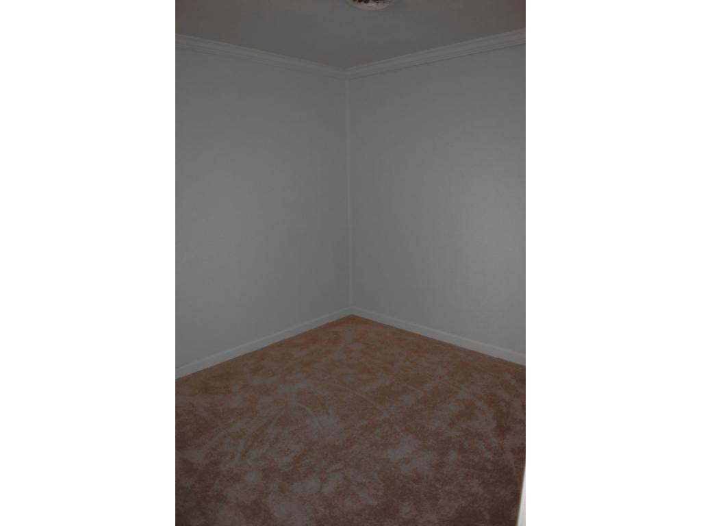252 Watson Road Bristol, TN 37620 - Photo 23 of 25 New Flooring Throughout