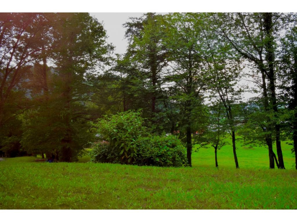 252 Watson Road Bristol, TN 37620 - Photo 25 of 25 Private Lot on over 05 acre