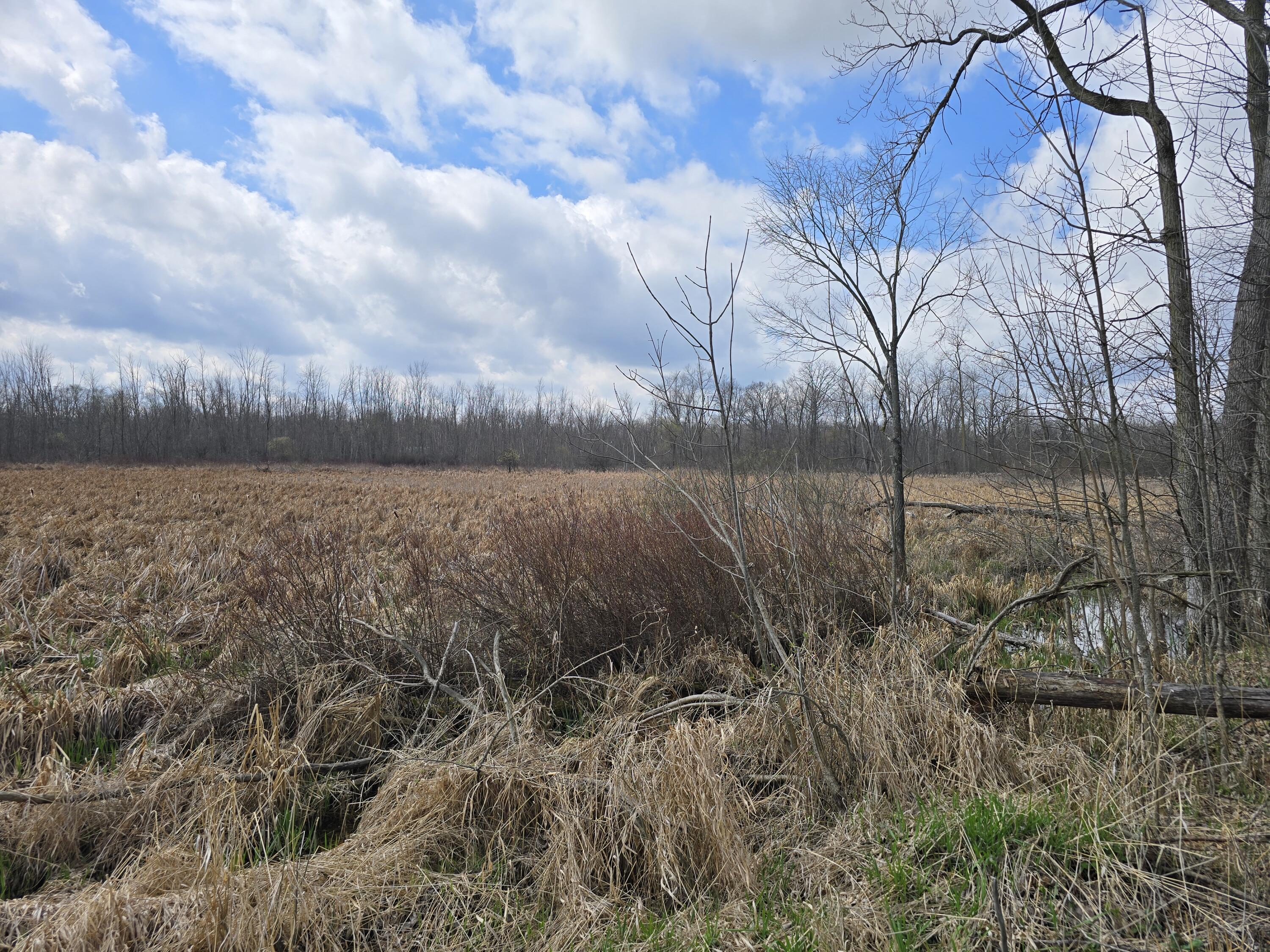 1284 Maplegrove Road Jackson, MI 49201 - Photo 30 of 45 20260413_131649