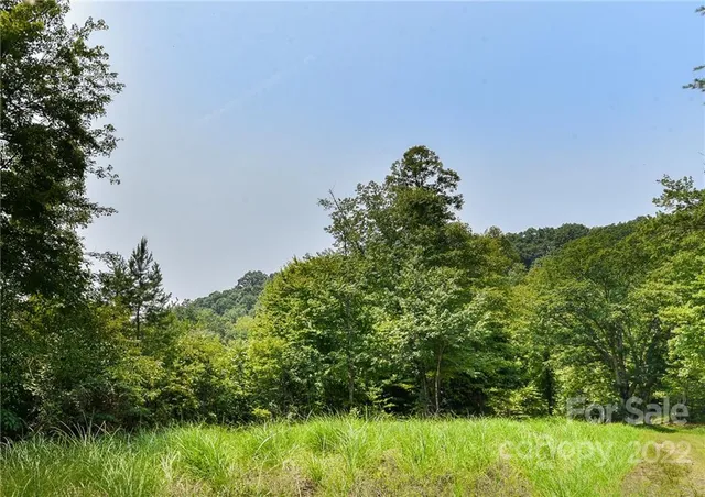 $27,500 | 441 The Vines Boulevard, Unit 15, Marshall, NC 28753