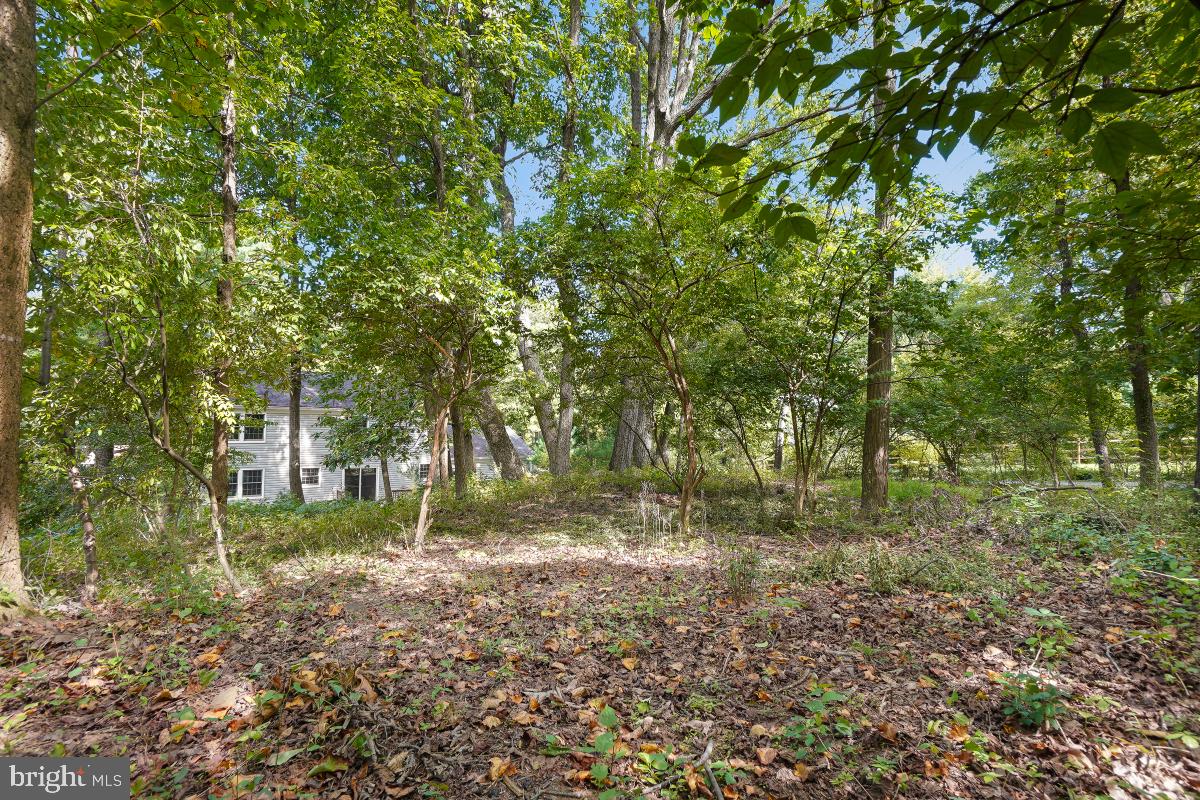 10927 Howland Drive Reston, VA 20191 - Photo 48 of 52 Gallery Image 48